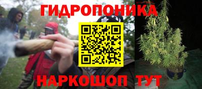 экстази Можга