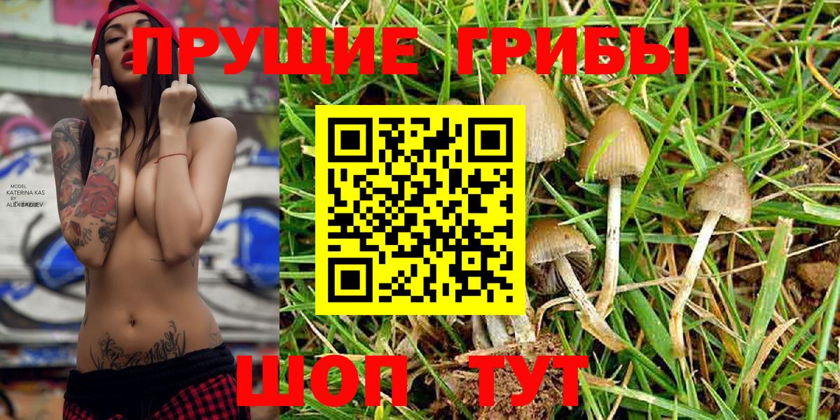 Верхняя Салда  Галлюциногенные грибы Psilocybine cubensis  Вход с VPN 